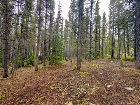 lot285 Lower Forest Rd, Idaho Springs, CO 80452