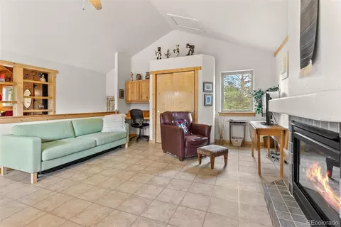 62 Quartz Cir, Bailey, CO 80421 photo 29
