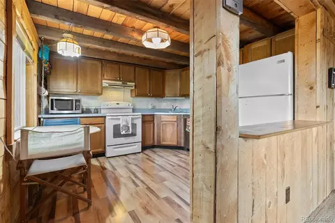 62 Quartz Cir, Bailey, CO 80421 photo 14