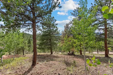 62 Quartz Cir, Bailey, CO 80421 photo 37