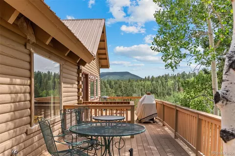 62 Quartz Cir, Bailey, CO 80421 photo 25