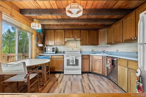 62 Quartz Cir, Bailey, CO 80421 photo 9