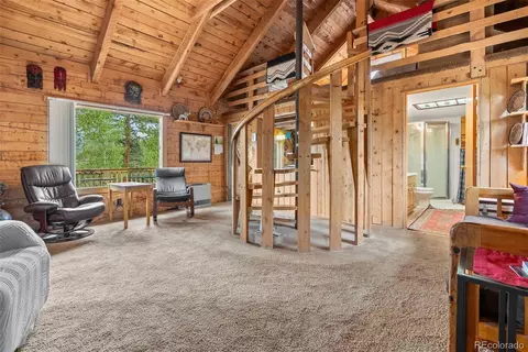 62 Quartz Cir, Bailey, CO 80421 photo 13