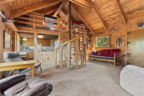 62 Quartz Cir, Bailey, CO 80421 photo 12