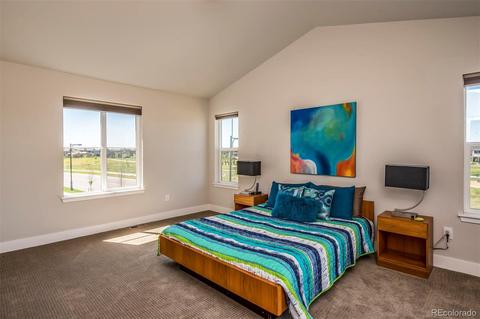 8502 E 53rd Ave, Denver, CO 80238 photo 19