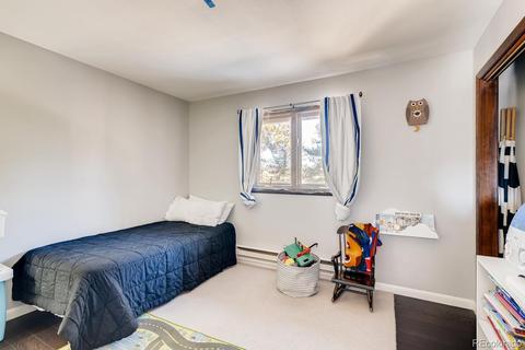 517 Conifer Dr, Bailey, CO 80421 photo 20
