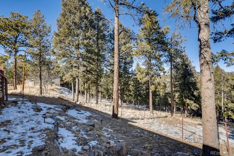 517 Conifer Dr, Bailey, CO 80421 photo 25