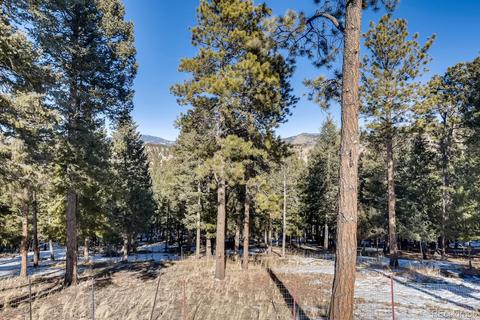 517 Conifer Dr, Bailey, CO 80421 photo 30