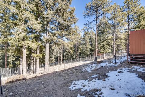517 Conifer Dr, Bailey, CO 80421 photo 27