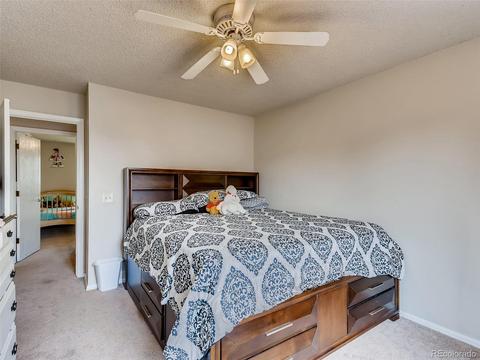 21182 E 47th Ave, Denver, CO 80249 photo 13