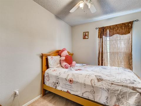 21182 E 47th Ave, Denver, CO 80249 photo 17