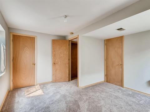 21182 E 47th Ave, Denver, CO 80249 photo 22