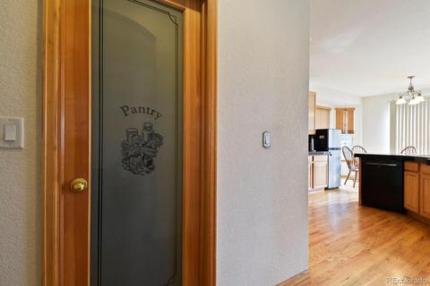 1154 E 100th Ln, Thornton, CO 80229 photo 28
