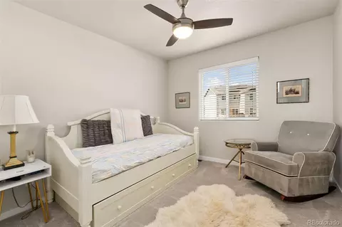 6018 Clarence Dr, Windsor, CO 80550 photo 29