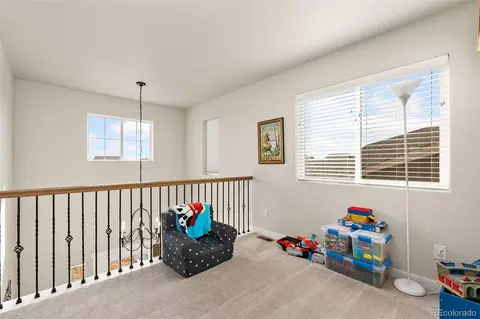 6018 Clarence Dr, Windsor, CO 80550 photo 28