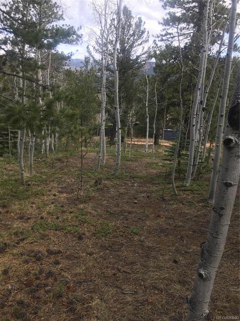 30 Bartimous Rd, Bailey, CO 80421 photo 7