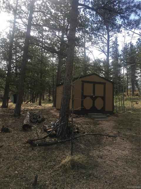 30 Bartimous Rd, Bailey, CO 80421 photo 21
