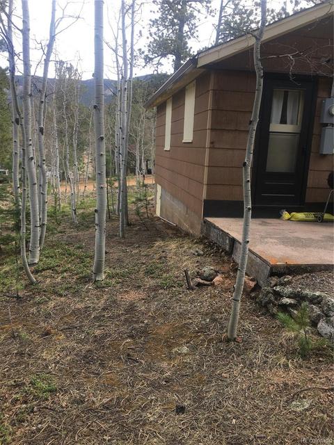 30 Bartimous Rd, Bailey, CO 80421 photo 9