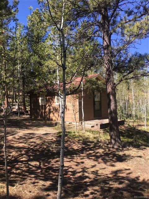 30 Bartimous Rd, Bailey, CO 80421 photo 24