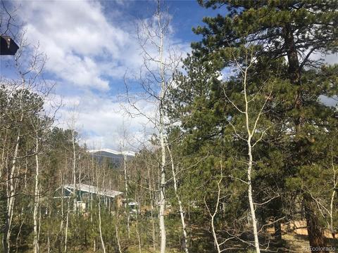 30 Bartimous Rd, Bailey, CO 80421 photo 5
