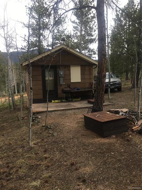 30 Bartimous Rd, Bailey, CO 80421 photo 6