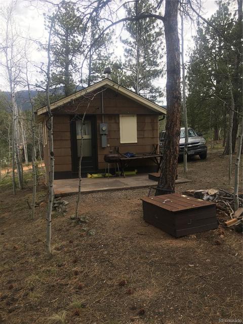 30 Bartimous Rd, Bailey, CO 80421 photo 8