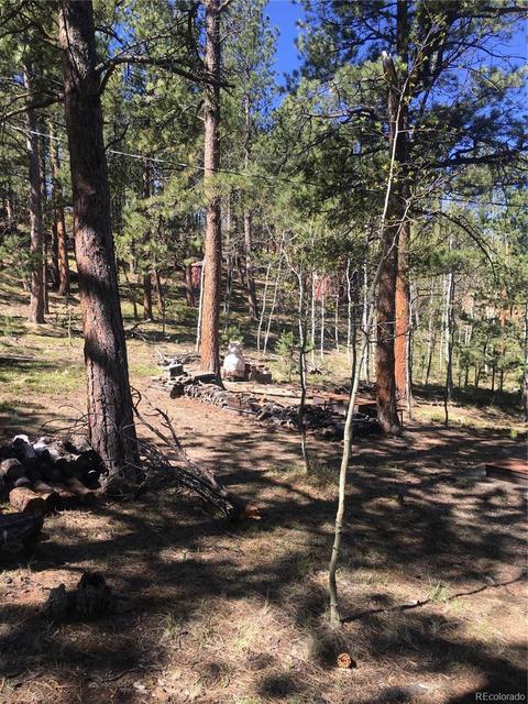 30 Bartimous Rd, Bailey, CO 80421 photo 25