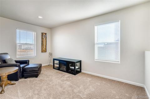 4287 E 95th Dr, Thornton, CO 80229 photo 22
