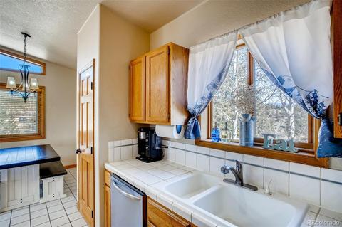 365 Bunny Rd, Bailey, CO 80421 photo 13