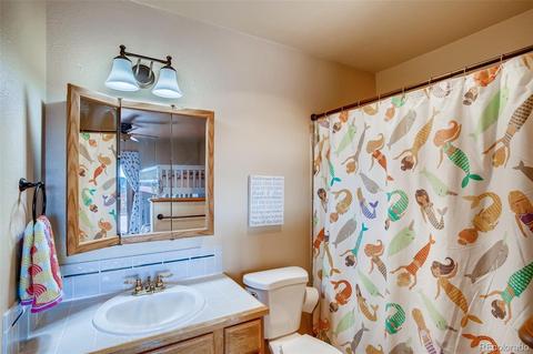 365 Bunny Rd, Bailey, CO 80421 photo 27