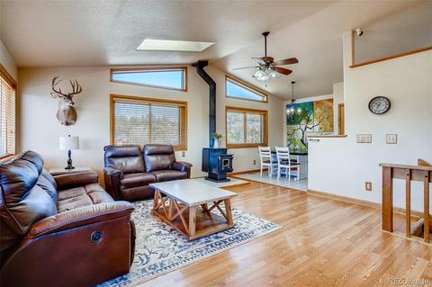 365 Bunny Rd, Bailey, CO 80421 photo 5
