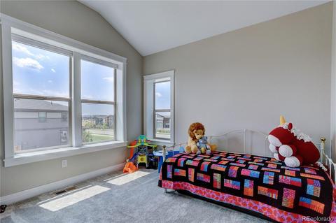 9389 E 57th Pl, Denver, CO 80238 photo 24