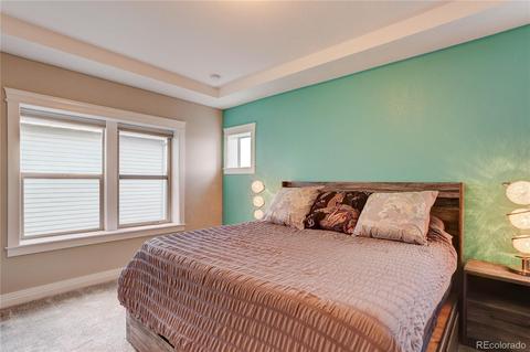 9389 E 57th Pl, Denver, CO 80238 photo 20