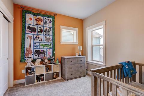 9389 E 57th Pl, Denver, CO 80238 photo 23