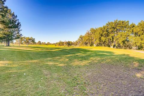 4191 W 99th Pl, Westminster, CO 80031 photo 34