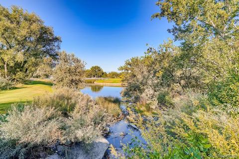4191 W 99th Pl, Westminster, CO 80031 photo 35