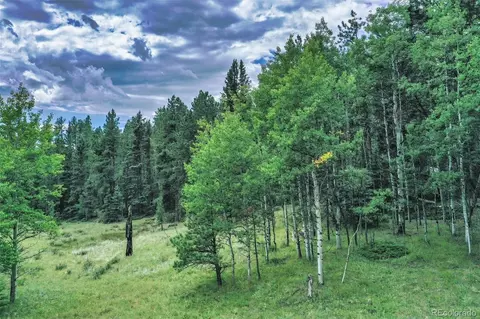 8549 Cedar Mountain Rd, Divide, CO 80814 photo 46