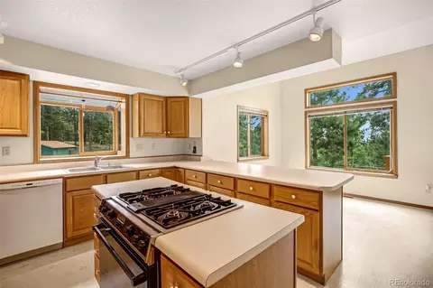8549 Cedar Mountain Rd, Divide, CO 80814 photo 14