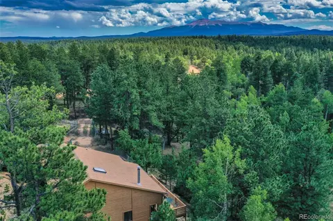8549 Cedar Mountain Rd, Divide, CO 80814 photo 42