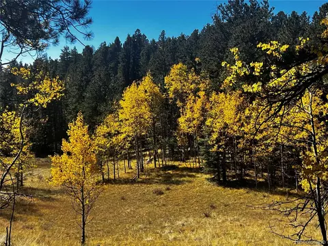 8549 Cedar Mountain Rd, Divide, CO 80814 photo 34