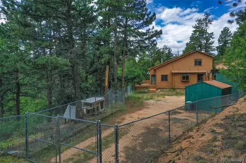 8549 Cedar Mountain Rd, Divide, CO 80814 photo 35