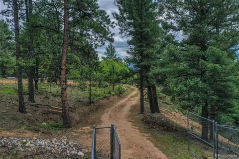 8549 Cedar Mountain Rd, Divide, CO 80814 photo 36