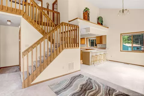 8549 Cedar Mountain Rd, Divide, CO 80814 photo 8