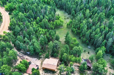 8549 Cedar Mountain Rd, Divide, CO 80814 photo 45