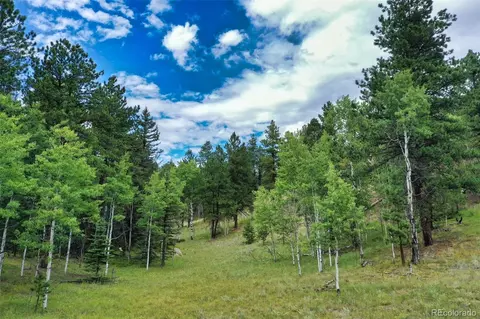 8549 Cedar Mountain Rd, Divide, CO 80814 photo 48