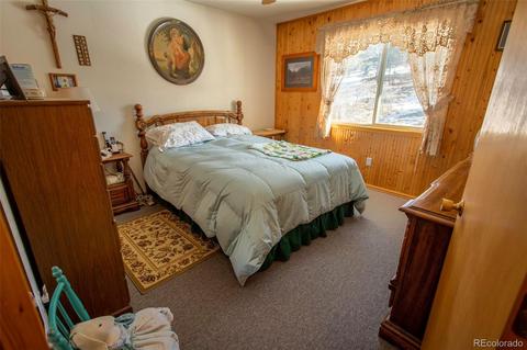 1672 Red Feather Dr, Cotopaxi, CO 81223 photo 22