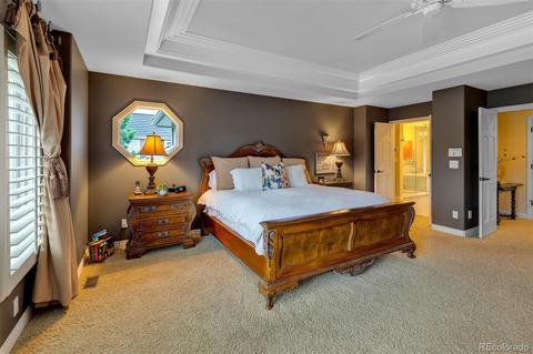 5237 E Nichols Dr, Centennial, CO 80122 photo 23