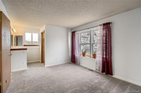 19532 E Bails Pl, Aurora, CO 80017 photo 21