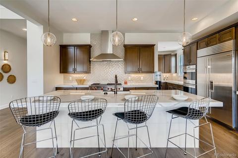 10760 Bluffside Dr, Lone Tree, CO 80124 photo 13