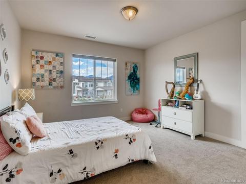 9458 Gore Loop, Arvada, CO 80007 photo 27
